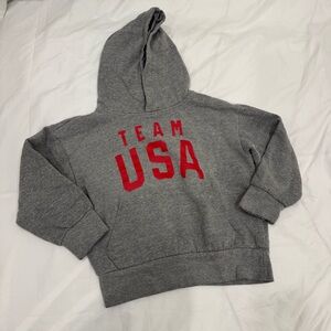 Team USA Grey Sweatshirt Red Writing Youth Medium Hoodie
